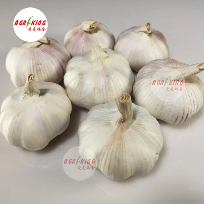 Chinese fresh garlic