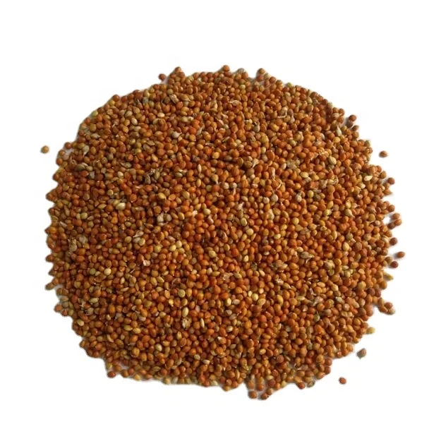 Красный пшит в шелушке