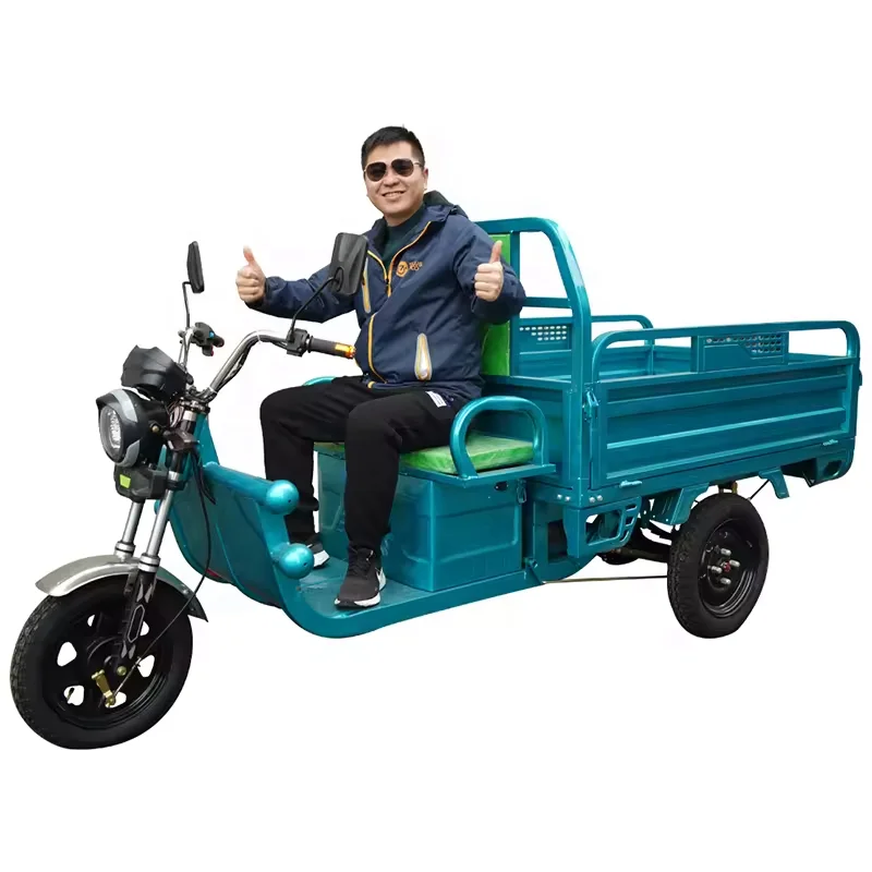 US/EU warehouse factory direct sale China hot sell cheap electric tricycle 3 wheeled Electric tricycle with cargo tricycle