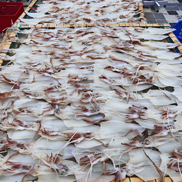 Top Quality Sun Dried Skinless Squid Size S from Vietnam Crispy Fried Seafood Bulk Packaging