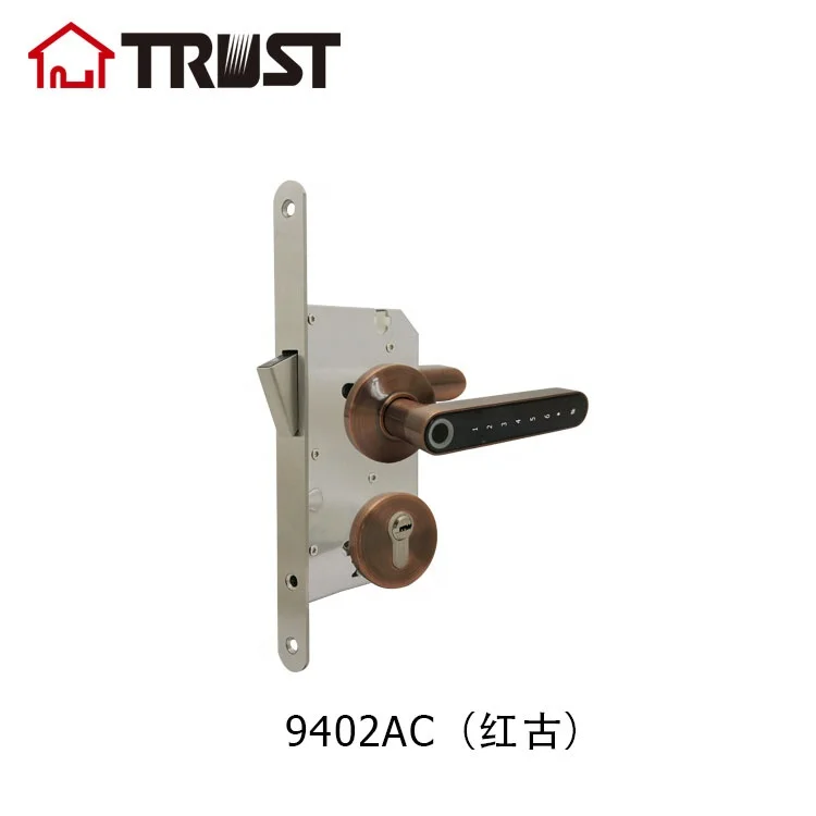 
TRUST 9402-AC Biometric Fingerprint Zinc Alloy Smart Electric Handle Door Lock For Home 