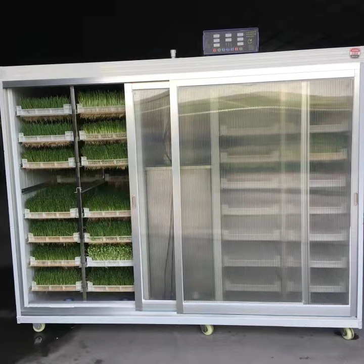 Sprout machine for salad green making