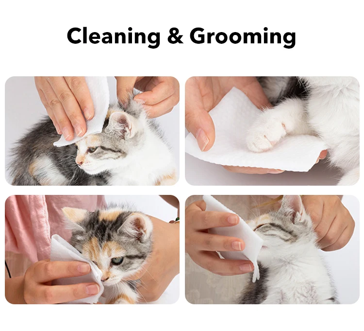 First Class Wholesale pet wet wipes private label pet wet wipes bio eco wet wipes pet