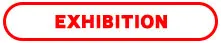 Hot Sell Powerful Full Suspension 48V Lithium Battery 800W 1000W 1600W 2000w adult Dual motor foldable Electric Scooter 19