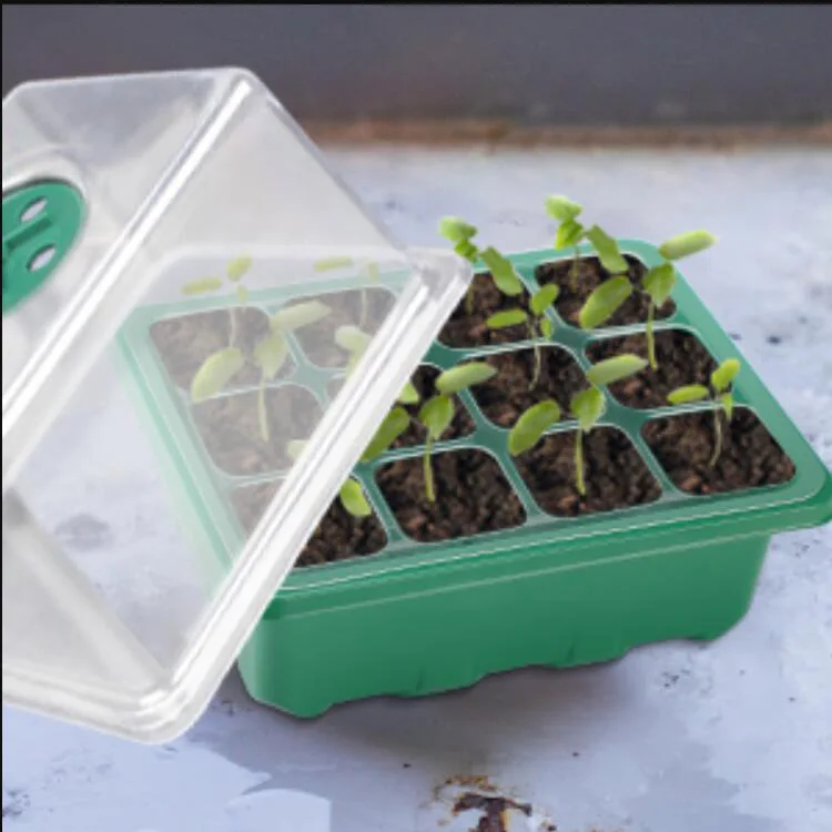 Wholesale Black Long Duration, Time Plant Seedling Tray for Green house plastic Ecological farm flower Plant Seed tray/