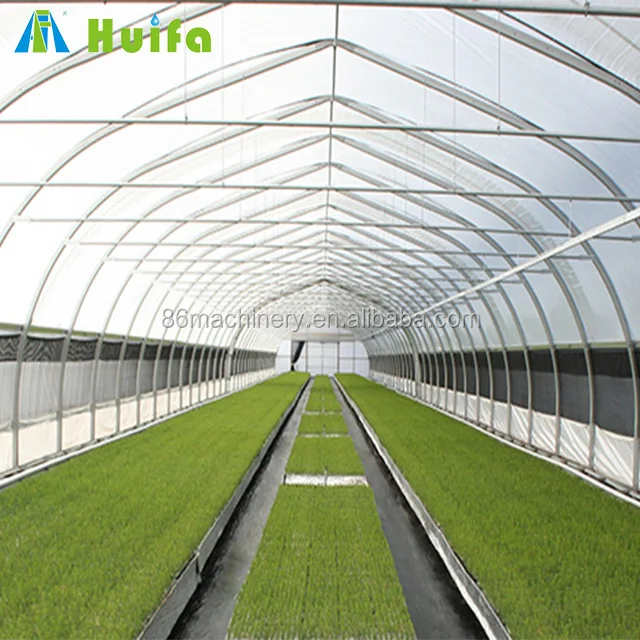 
Недорогая теплица с защитой от лягушек, теплица с клубничным домом, Россия 