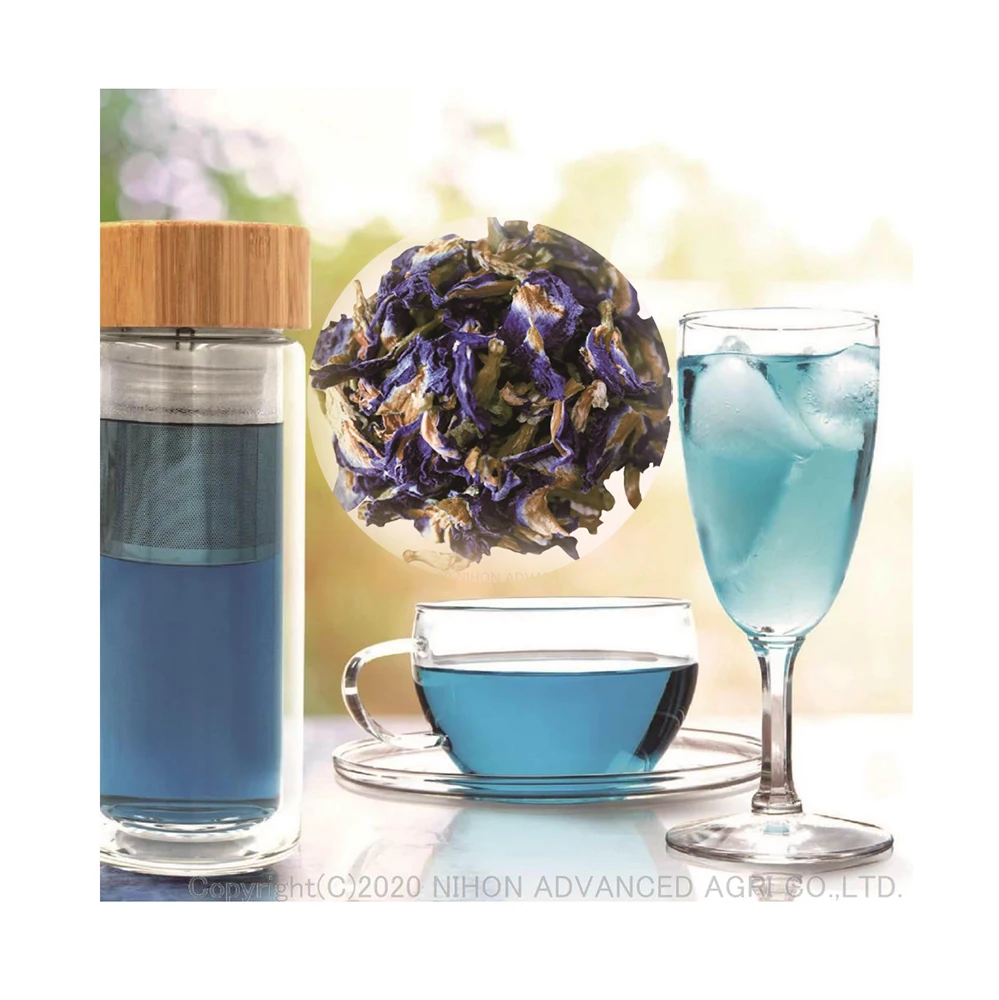 
Japan ornamental plants dried butterfly pea flower for wholesale 