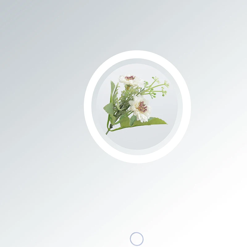 Custom Aluminum Alloy Round Framed Wall Mirror Bathroom Vanity Decoration Frameless Mirror With Led Light