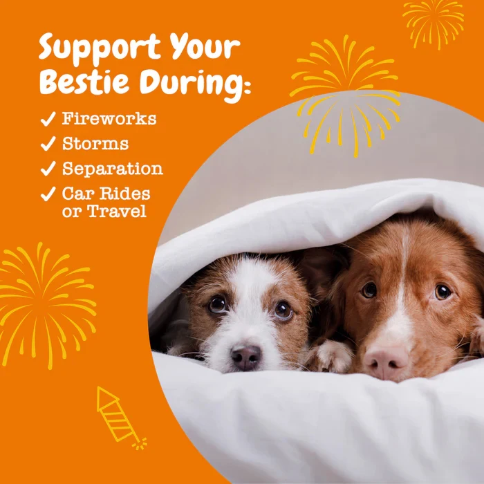 Ancient Elements Pet Supplement Dogs Calming Chews