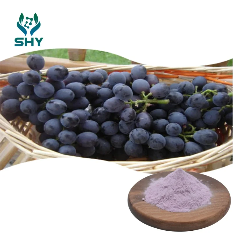 Food Grade Grape Juice Powder Sweet Taste Fruit Extract for Wild Cultivation Packaged in 1kg Bag