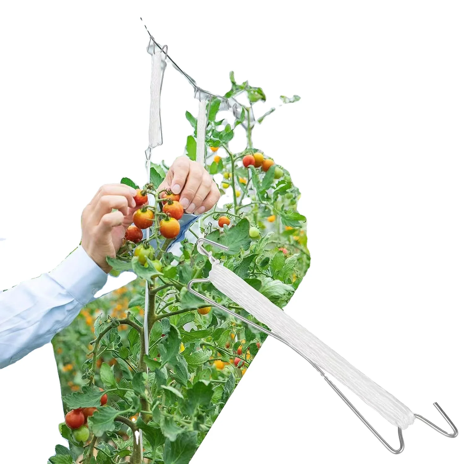 Опорные крючки для томатов