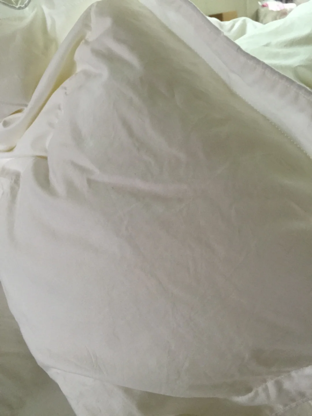 Customized 100% Cotton Fabric Filling Soft and Warm Duck Down Goose Down Duvet for All Season