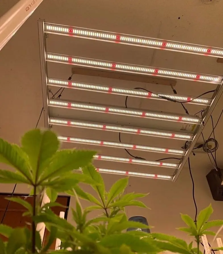 New Style Dimmable Waterproof Hydroponic Vertical Led Grow Light LM301B Full Spectrum 480w 650w 800w 1000w Led Grow Lights Bar