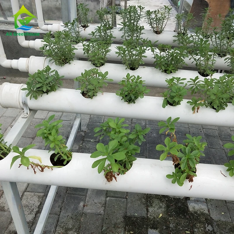 solar power hydroponic fodder growing system with sprinkler