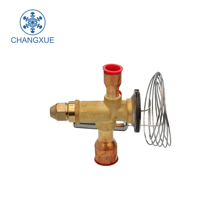 Professional Negative cold room freezer cold storage  unit project