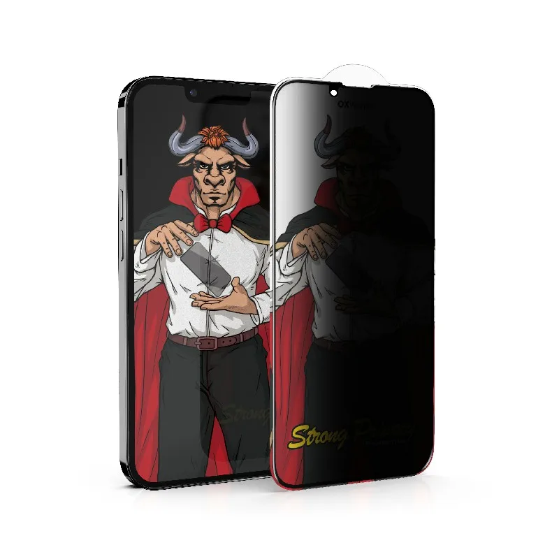 Privacy Tempered Glass Phone Case Screen Protector Glass for iPhone 14 Pro Anti Peep Full Coverage Anti-spy Film for iPhone 13