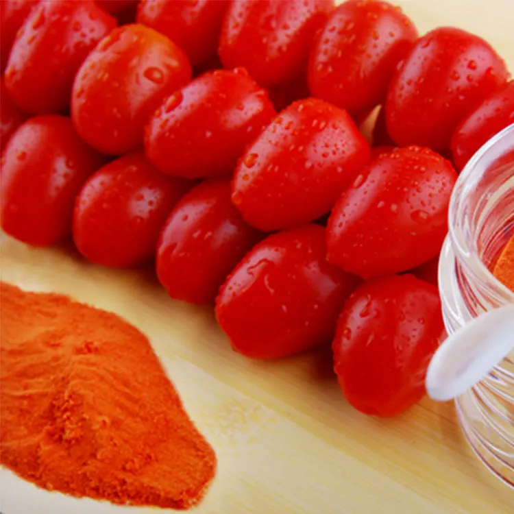 Spray Dried Tomato Powder New Crop