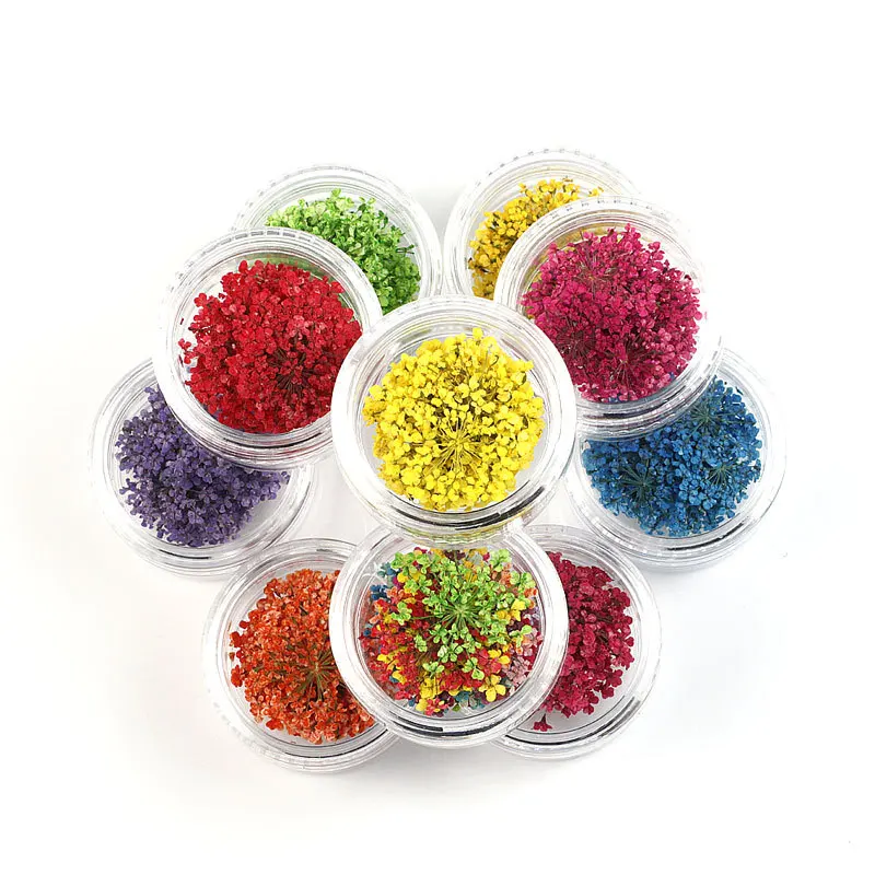 2022 Hot sale dried preserved babysbreath Detain flower for  home decoration