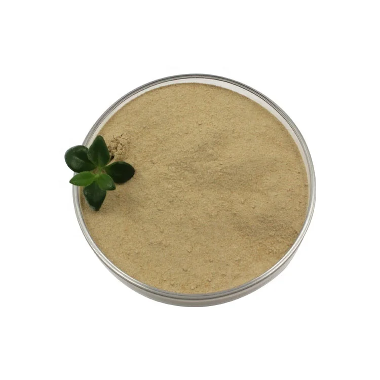 High Quality Helps To Improve Water Quality For Aquaculture Lichen Bacillus Probiotic Powder