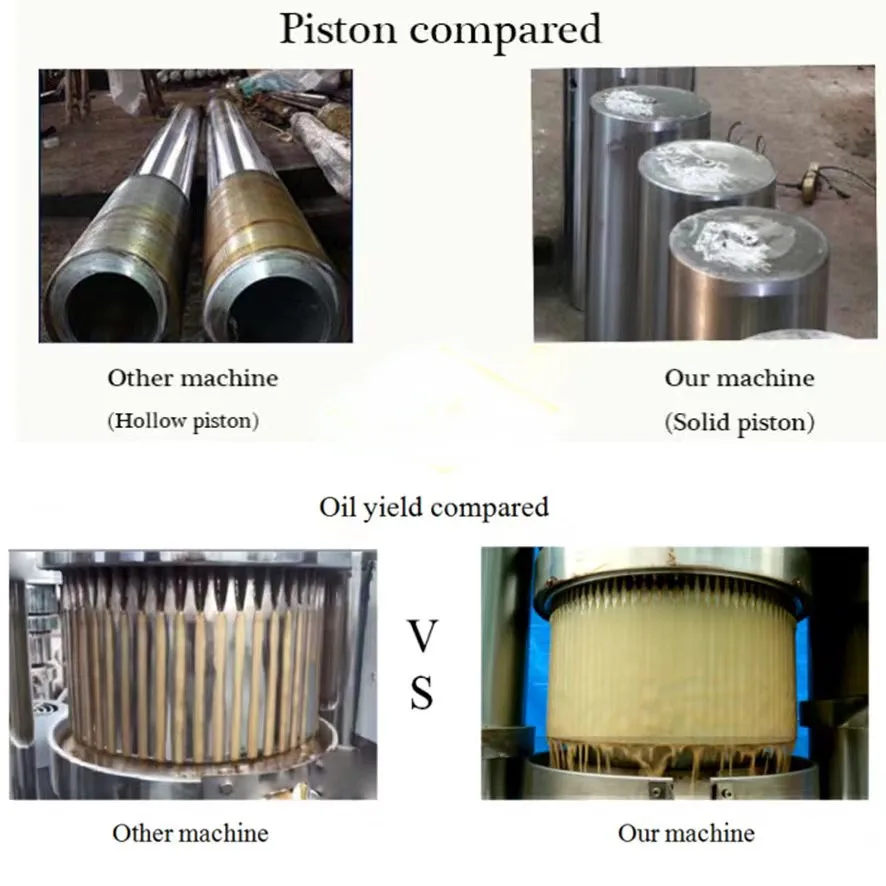 Automatic Soybean Oil Sunflower Oil Press Machine