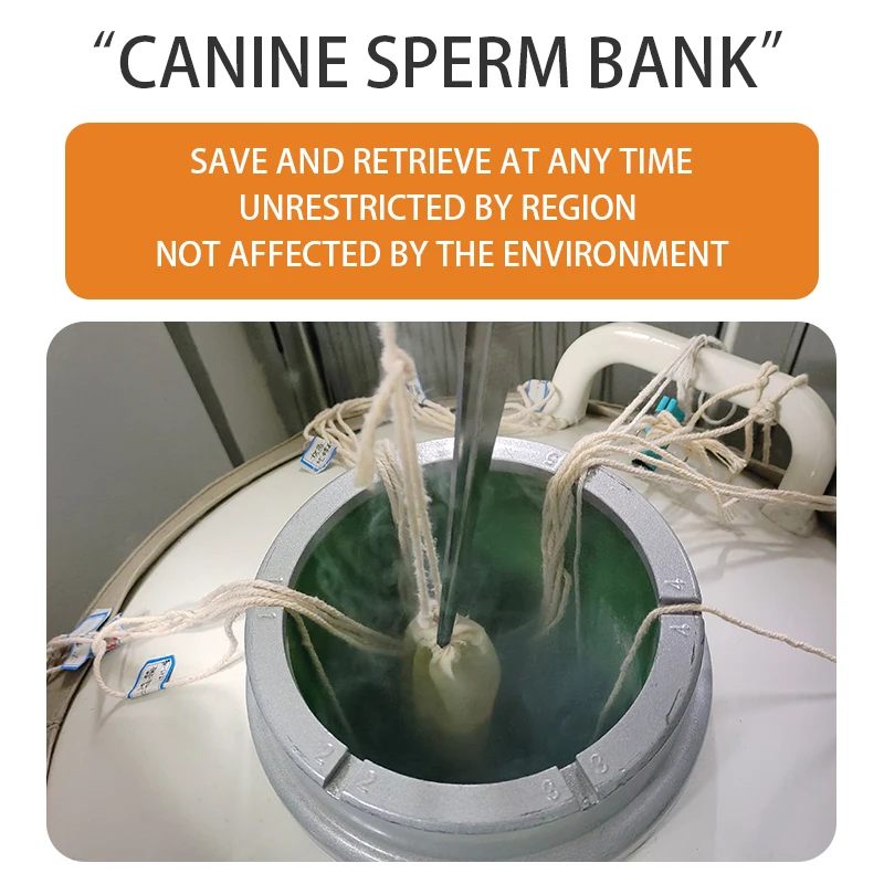 Оборудование для замороженной спермы и собак оборудование обучения методике резервуар хранения азота сухого льда