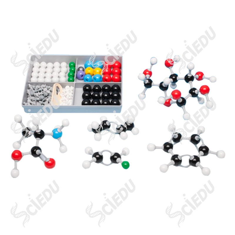 Chemistry Molecular Model Kit Education Molecular Model Kit Organic Chemistry Molecular Model Kit