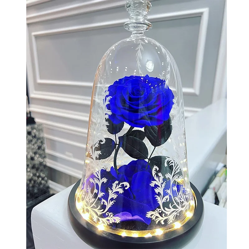 bella y bestia bella y la bestia flor de la bella y la bestia Enchanted Rose Beauty And The Beast Preserved Rose In Glass