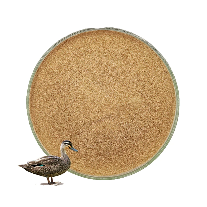 probiotics sheep bacillus subtilis