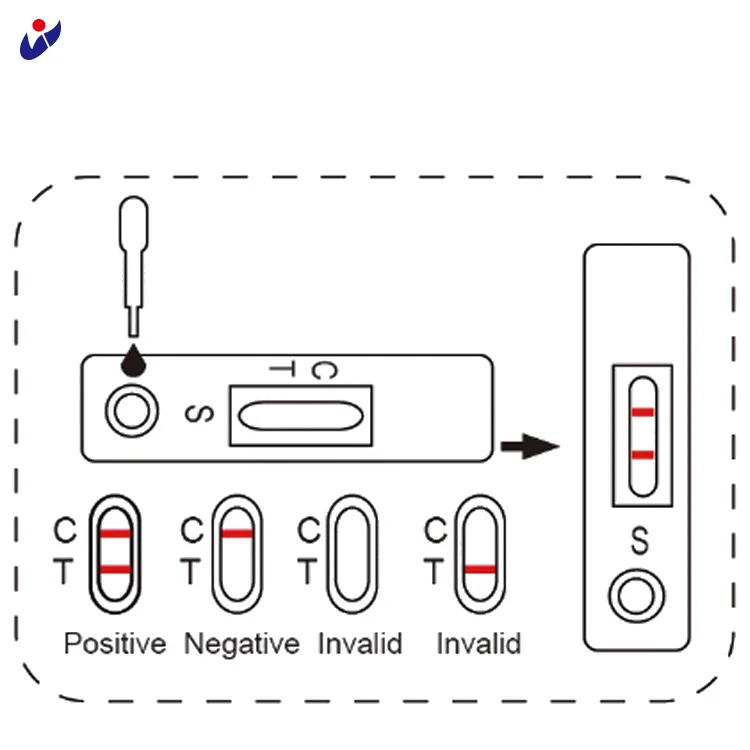 pregnancy test urine stick test pregnancy rapid diagnostic test kit