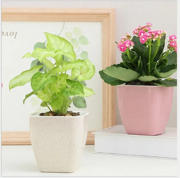 2020 hot sales Lazy Circular Self Watering Absorption Plants fiber plastic Hydroponics Plastic Flower Pot