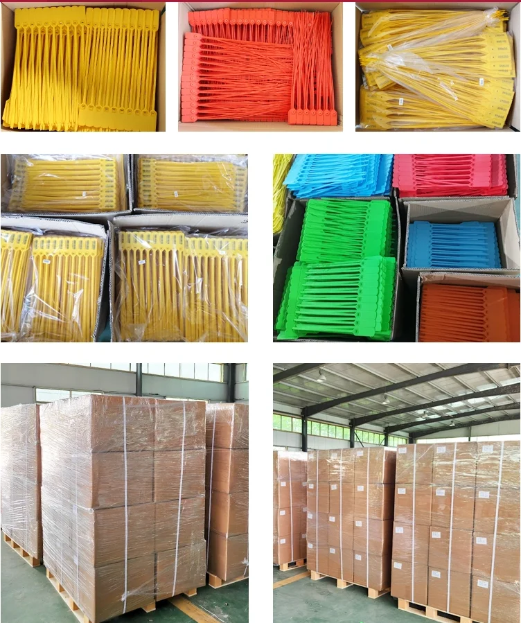 Safety Garment Hang Tags Shoes Security Label Fire Extinguisher Security Tie Shoe Zip Disposable plastic seal