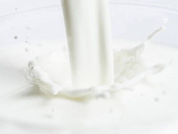 Wholesale Price Very Nice Natural Additive-Free Cowhead Pure Milk