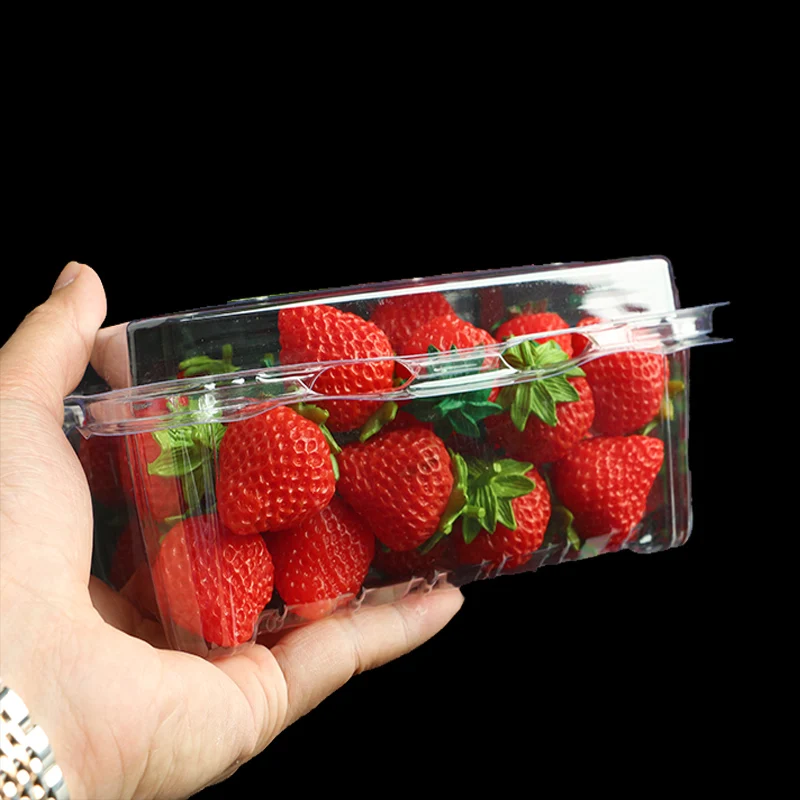 Fruit Packing Box Styrofoam Meat Trays Pulp Pet Pp Lid Pack Food Plastic Tray