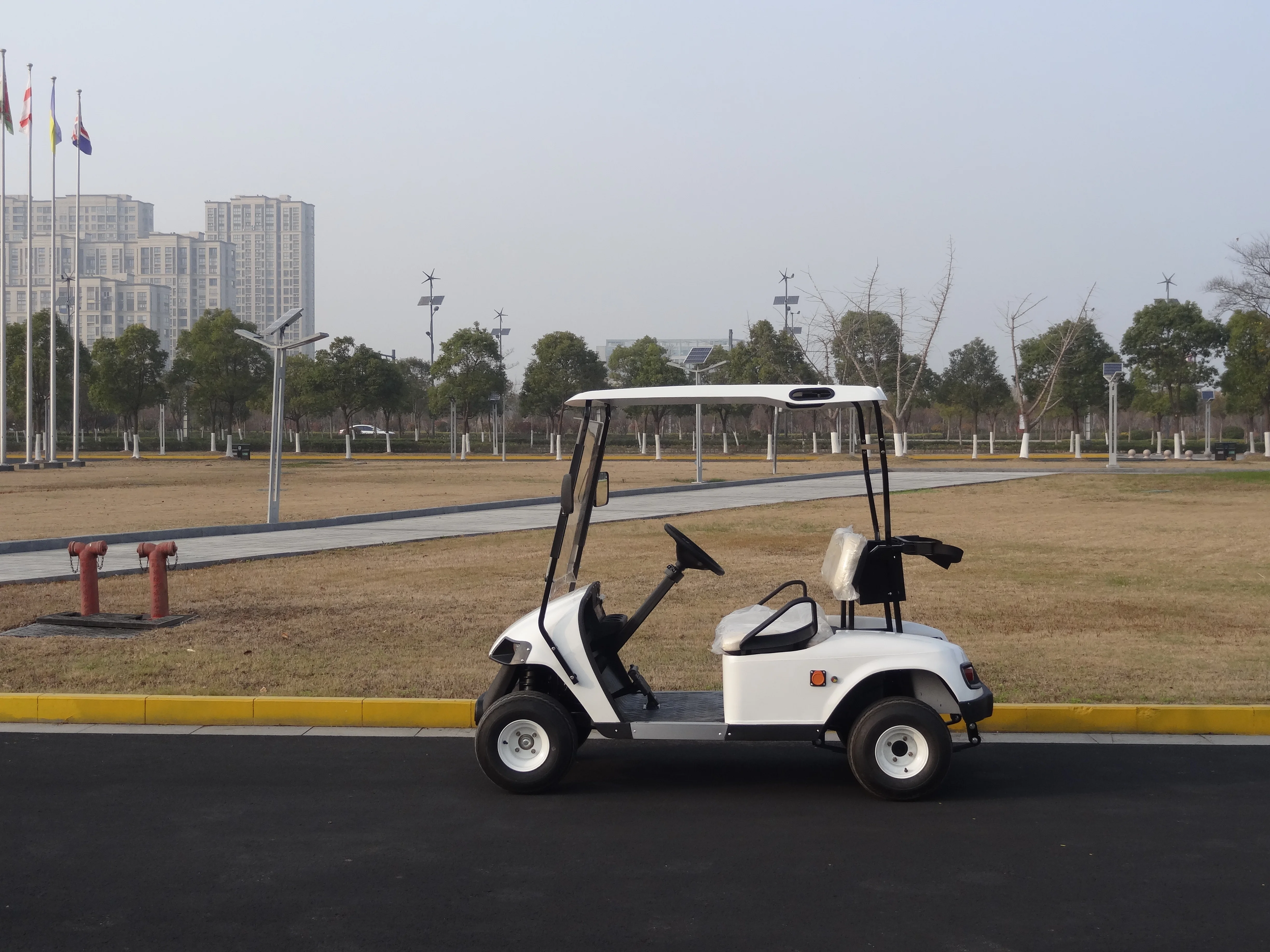 CE approved off road 2 passenger electric golf buggy