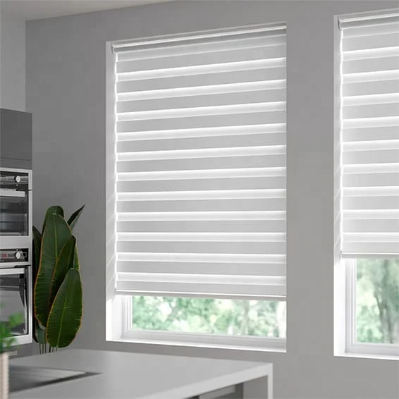 Modern Zebra Blinds Motorized Wifi Smart Venetian Style Fabric Zebra Blinds Window Shades Waterproof And For Office Or Hotel Use