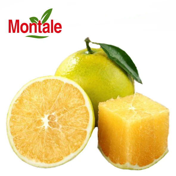 Montale свежий сладкий мандарин, оптовая продажа, сочный сахар, оранжевый