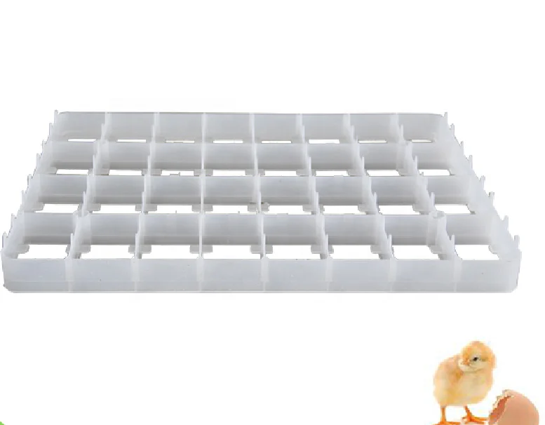 plastic 221 pcs quail egg tray