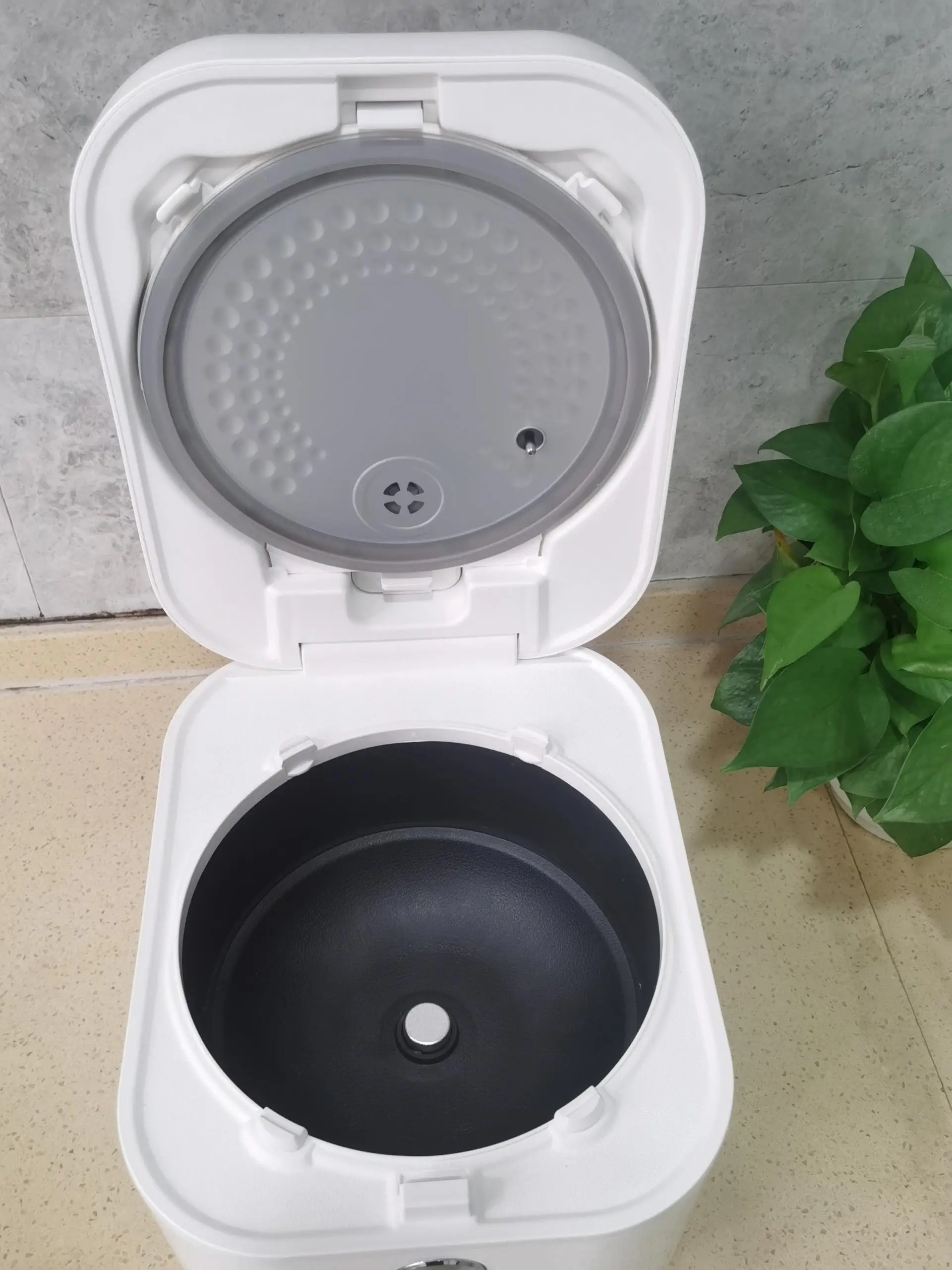 keep warm 24 hours non-stick without coating 4 L 304 SS inner pot Intelligent menu IH Low sugar Multi-function rice cooker