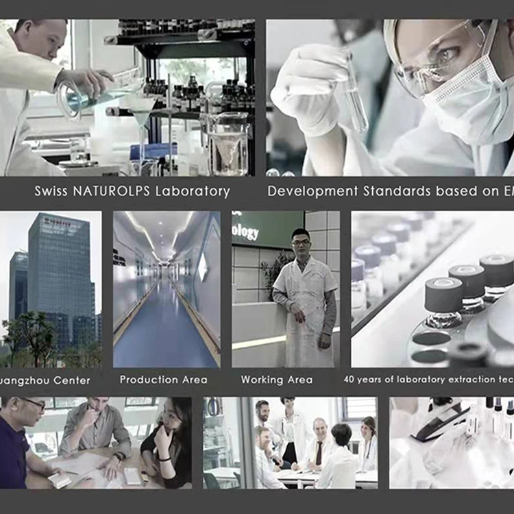 Food Grade Bay Leaf Essential Oil (new) Laurel Leaf Oil For Poilant arabic perfume fragrance oil