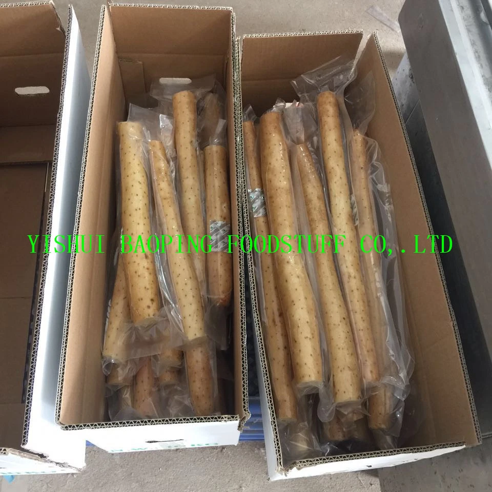 
Fresh vacuum yam from China 