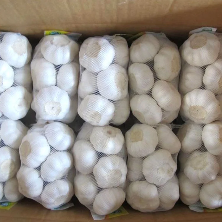 Good price wholesale large amount of fresh white garlic