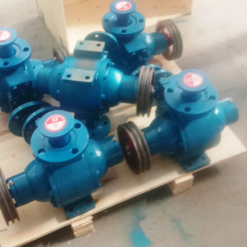Liquid Ammonia freon Transfer Pump Liquefied Petroleum Gas Pump YQB35-5