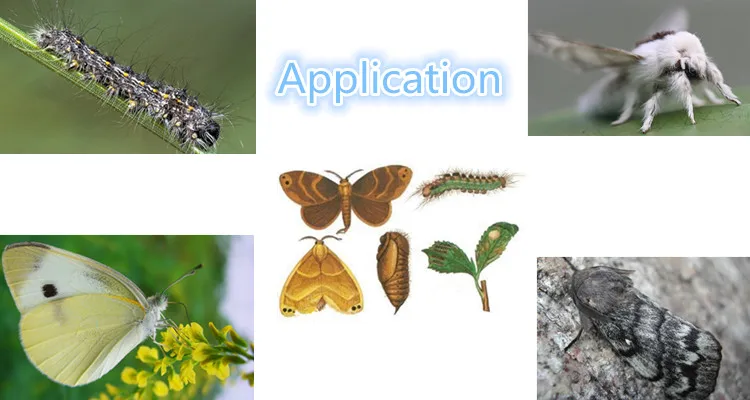 
Plant insecticide extract biopesticide oxymatrine / Matrine supplier 