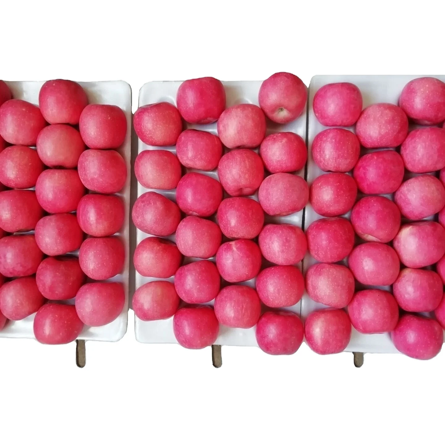 
Hot sale fresh red fuji apple 