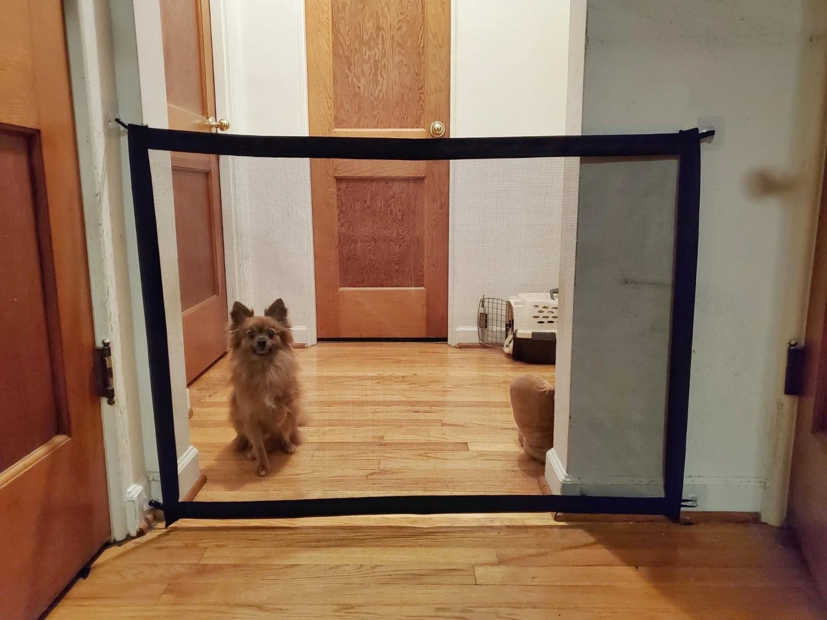 Wholesale Magic Pet Safety Gate Enclosure Portable Folding Pet Isolation Net Safety Guard for Pets Dog Cat