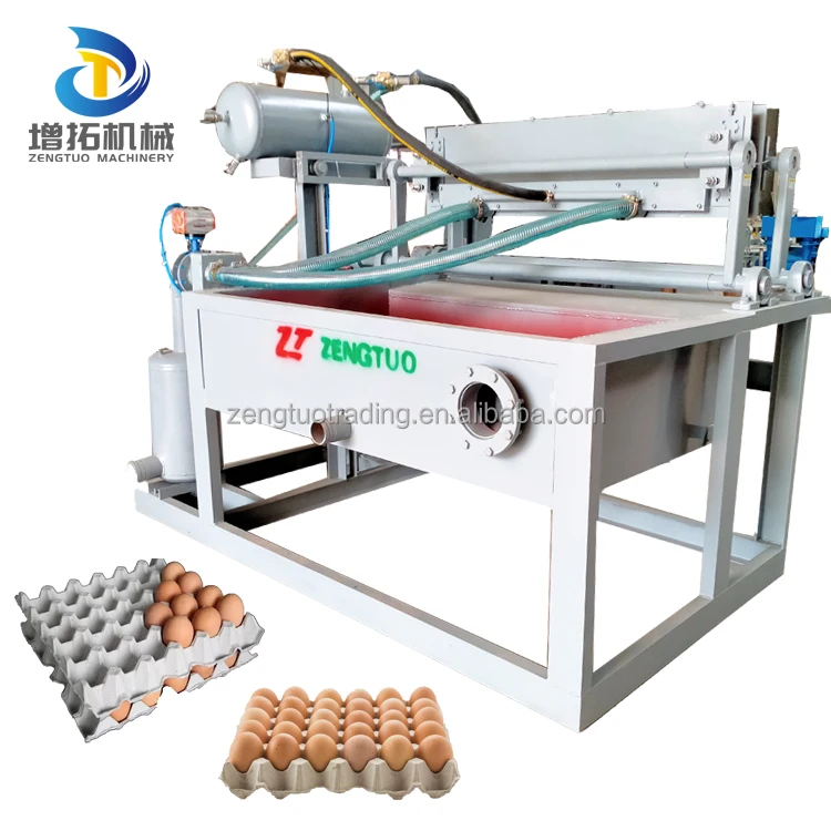 Sun dry Plastic/Aluminum Egg Mold Small Paper Pulp Egg Carton Egg Box Manufacturing Machine lowest price
