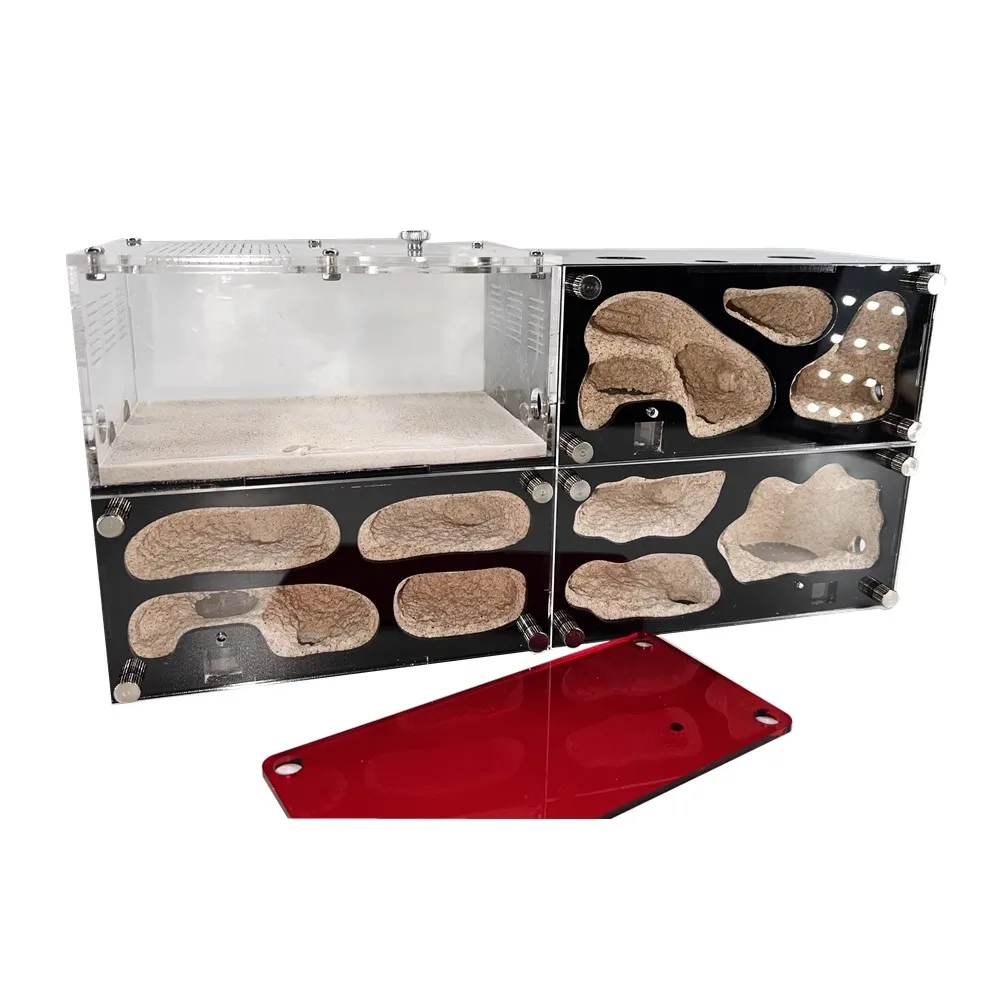 Ant Farm Set With Ants Drinker Temperature Control Concrete Ant Nest Infinite Expansion Insect House Anthill Kit Accessories