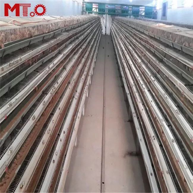 Hot sell automatic egg collecting quail cage for quail farmers around the world