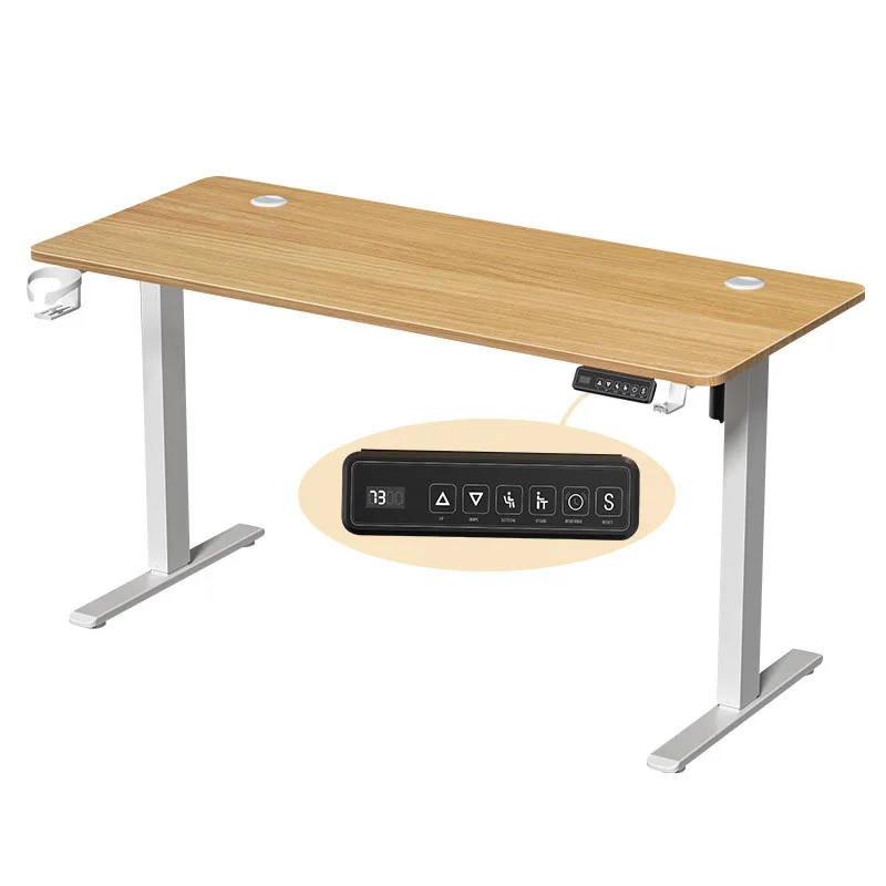 Modern Home Office Desk height adjustable electric standing Computer Desk for School Versatile Boss Desk