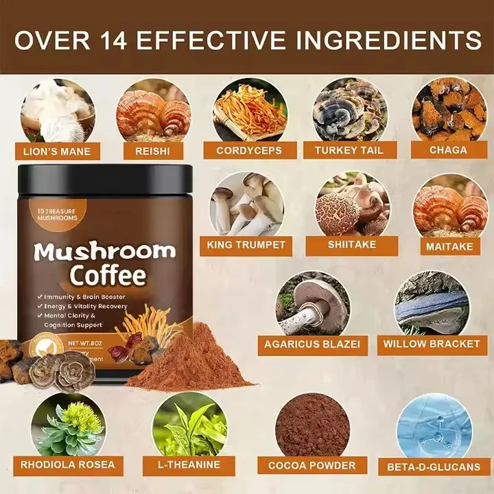 Wholesale Mushroom-Coffee Nature Mushroom extract Chaga Cordyceps Reishi Energy And Endurance Mushroom Coffee